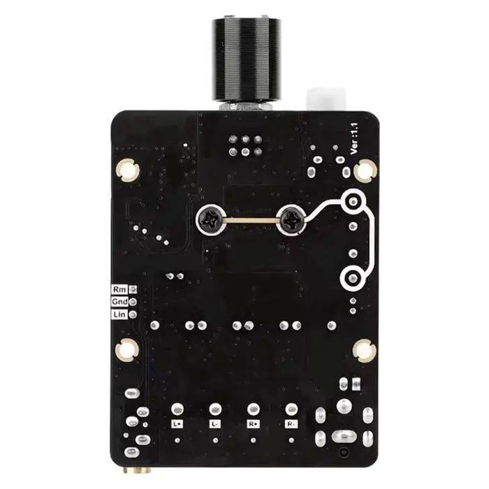 BTLIFE-Module amplificateur Audio Module amplificateur numérique TPA3116 accessoires Audio stéréo