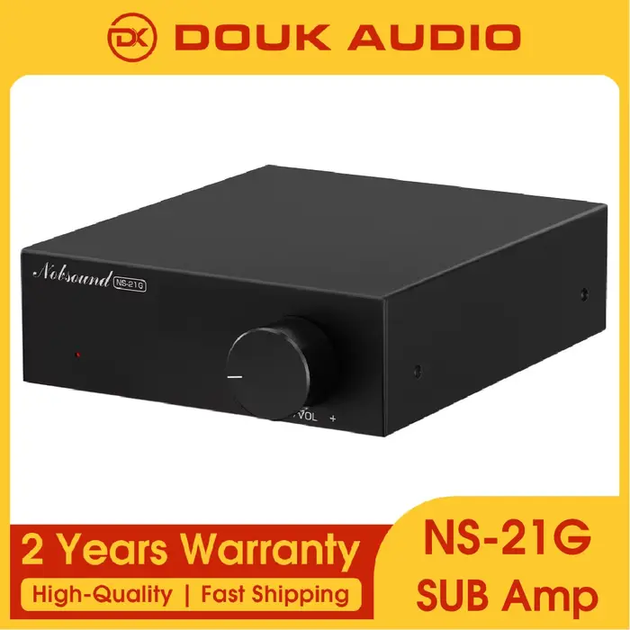Douk Audio NS-21G amplificateur de caisson de basses monocanal HiFi Mini amplificateur monobloc Audi