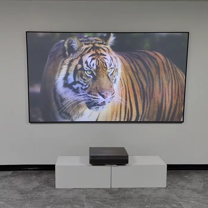 VisualMr-Écran de projection ALR UST 8K