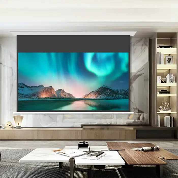 Écran de projection électrique au plafond