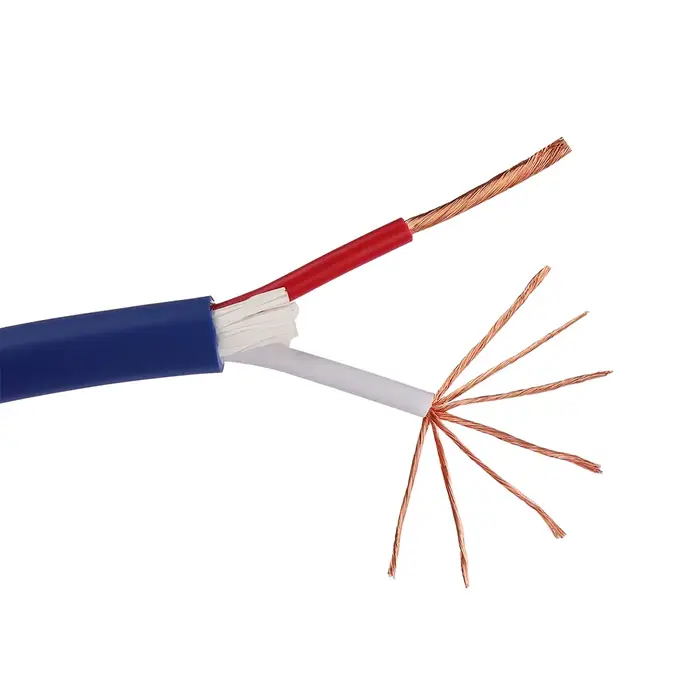 Cordon d'alimentation pour haut-parleur