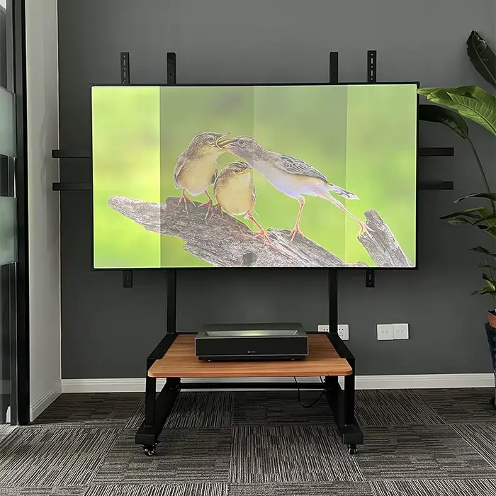 Tissu d'écran de projection UST